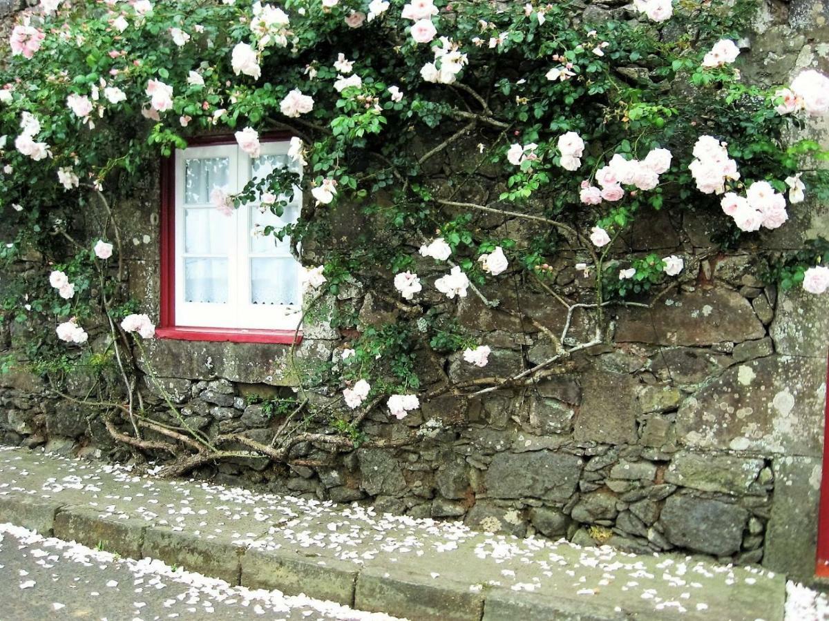 Casa Da Roseira Vila Nordeste  Exterior foto